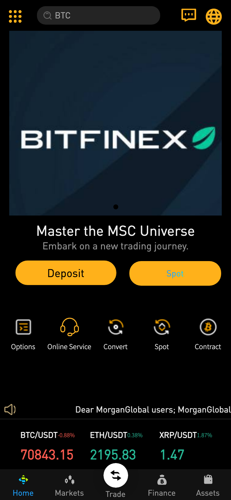 bitfinex-my.cc サイトスクリーンショット
