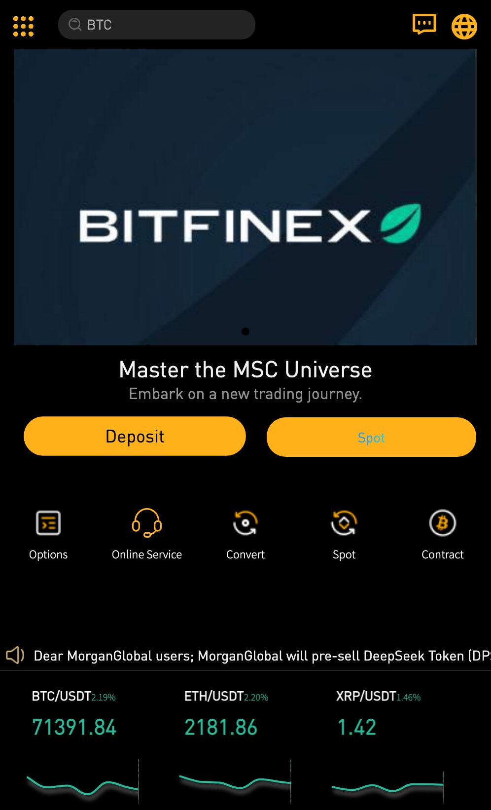bitfinex-my.com サイトスクリーンショット