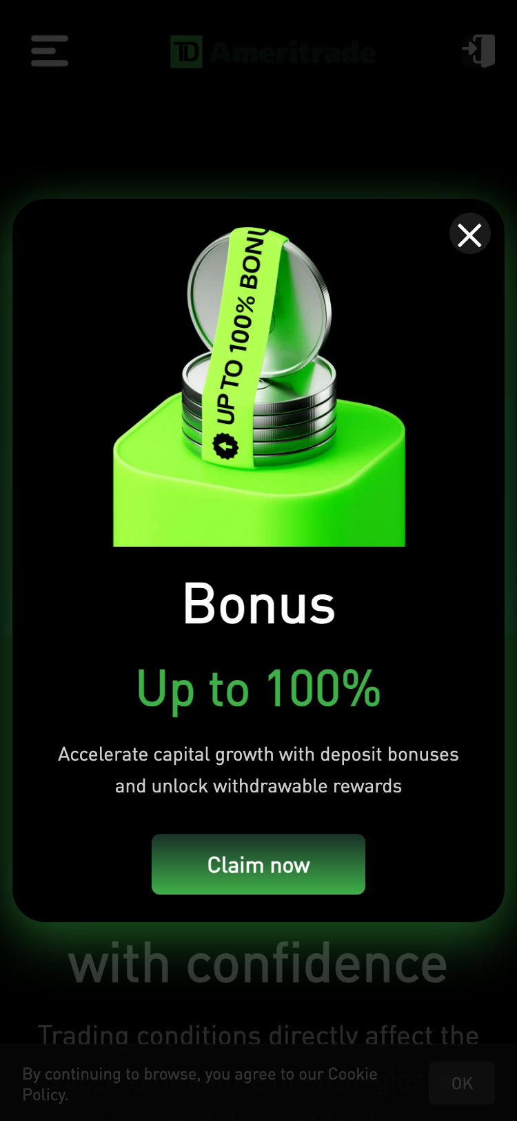 TD Ameritrade サイトスクリーンショット
