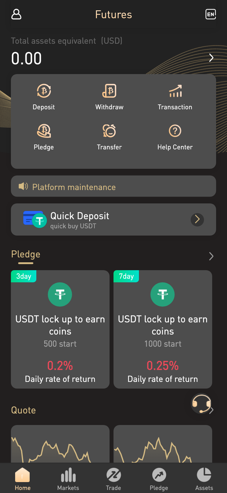 futurefeyi.com サイトスクリーンショット