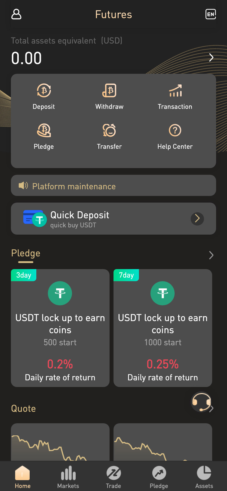 futurenfdw.com サイトスクリーンショット