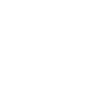 SGTRD ロゴ