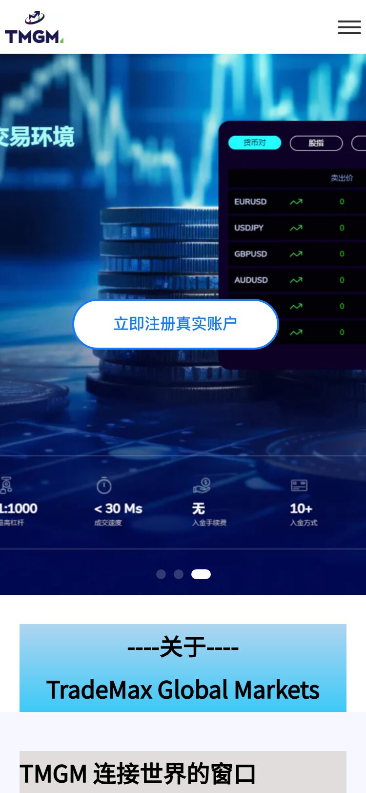 tmgmaa.com サイトスクリーンショット