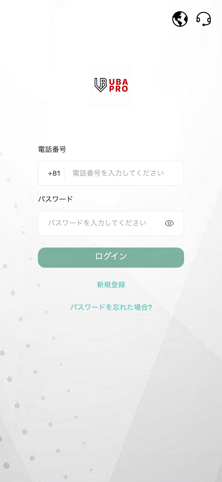 ub-group-ag.com サイトスクリーンショット
