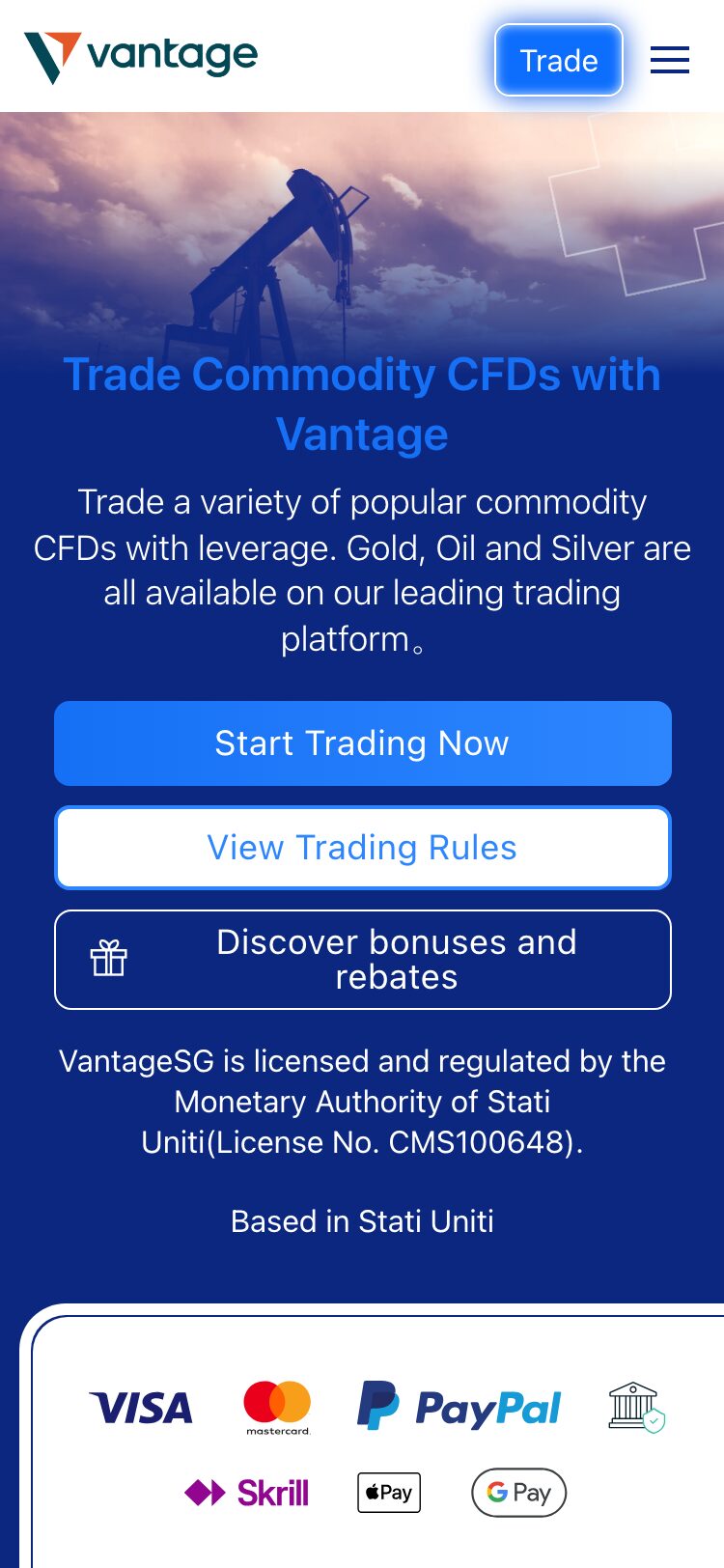 Vantage Pro サイトスクリーンショット