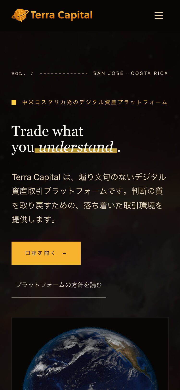 Terra Capital サイトスクリーンショット